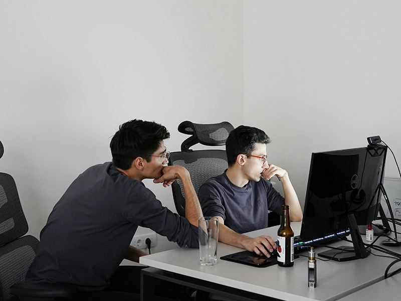 Software Consulting